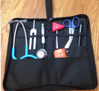 Stethoscope Case (Instruments not included)