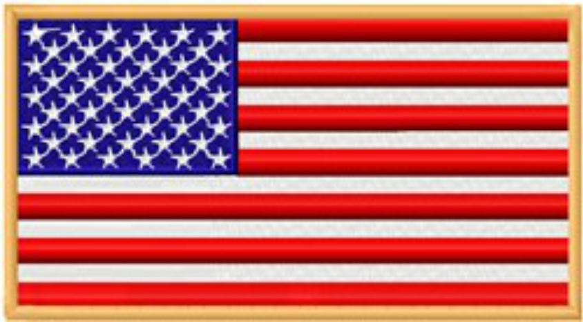 American Flag EED01175